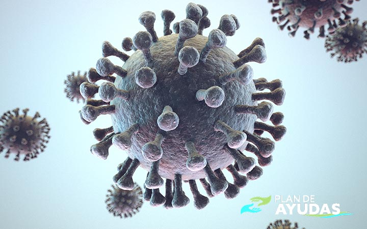 cuánto dura el coronavirus en el aire