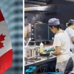 Cómo Conseguir Trabajo como Ayudante de Cocina en Canadá