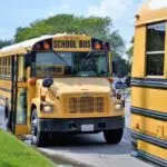 como obtener licencia para manejar bus escolar