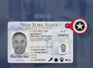 como sacar el permiso de conducir en new york online