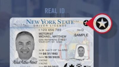 como sacar el permiso de conducir en new york online