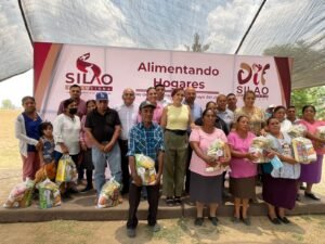 Programa Despensas en Guanajuato: Apoyo Alimentario