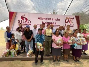 Programa Despensas en Guanajuato: Apoyo Alimentario